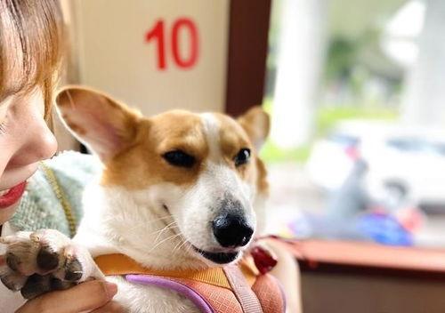 最新娱乐718吃瓜爆料,明星幕后故事大揭秘!